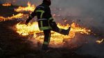 Kekeringan Ekstrem Picu Kebakaran Hutan di Gironde