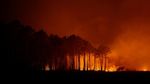 Kekeringan Ekstrem Picu Kebakaran Hutan di Gironde