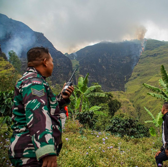 Petugas Sisir Titik Api di Kawasan Hutan Bromo