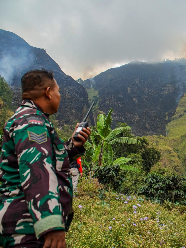 Petugas Sisir Titik Api di Kawasan Hutan Bromo