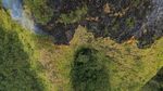 Petugas Sisir Titik Api di Kawasan Hutan Bromo