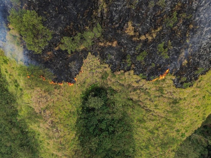 Titik kebakaran hutan di kawasan Perhutani RPH Sukapura, Blok Gunung Ringgit, Desa Sapikerep, Kecamatan Sukapura, Kabupaten Probolinggo, Jawa Timur, Minggu (26/7/2026). Tim gabungan dari BPBD, TNI, Polri, Perhutani, dan LMDH melakukan pemantauan serta penanganan kebakaran yang diperkirakan melanda sekitar empat hektare sebagai upaya mencegah api meluas ke kawasan sumber air, lahan pertanian dan permukiman warga. ANTARA FOTO/Irfan Sumanjaya/agr