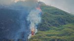 Petugas Sisir Titik Api di Kawasan Hutan Bromo