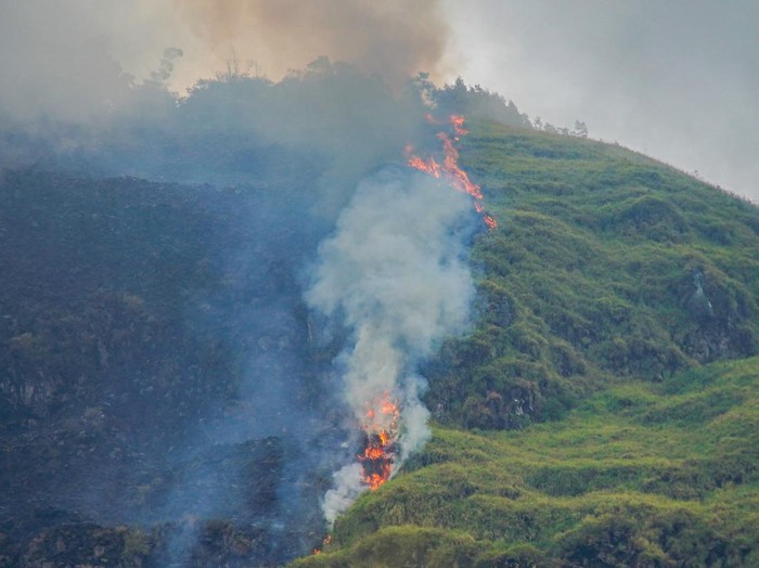 Titik kebakaran hutan di kawasan Perhutani RPH Sukapura, Blok Gunung Ringgit, Desa Sapikerep, Kecamatan Sukapura, Kabupaten Probolinggo, Jawa Timur, Minggu (26/7/2026). Tim gabungan dari BPBD, TNI, Polri, Perhutani, dan LMDH melakukan pemantauan serta penanganan kebakaran yang diperkirakan melanda sekitar empat hektare sebagai upaya mencegah api meluas ke kawasan sumber air, lahan pertanian dan permukiman warga. ANTARA FOTO/Irfan Sumanjaya/agr