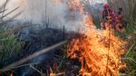 Manggala Agni dan Black Hawk Padamkan Karhutla di Ogan Ilir