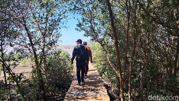 Suasana perjalanan menuju objek wisata Dewi Surga Mangrove.