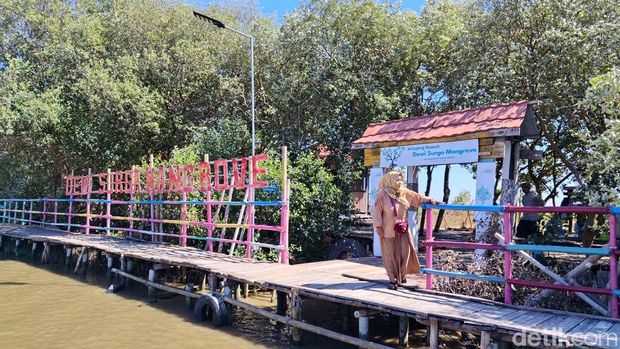 Suasana perjalanan menuju objek wisata Dewi Surga Mangrove.
