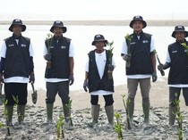 24 Ribu Mangrove Ditanam di Karawang, Jadi Benteng Alami Lawan Abrasi