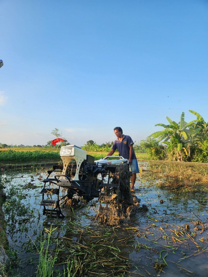 Desa Energi Berdikari, Ketika Energi Terbarukan Beri Manfaat ke Warga