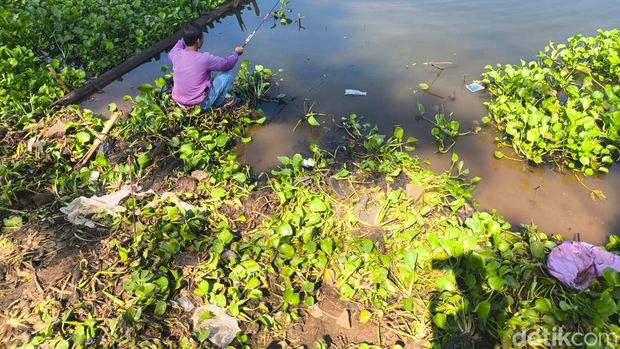 Eceng Gondok Tutupi Waduk Darma Kuningan