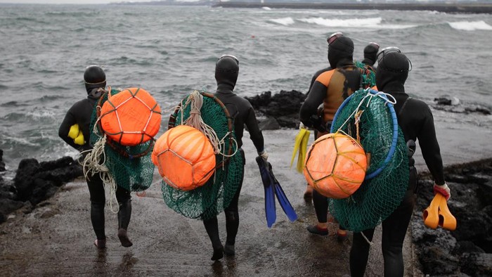 JEJU, SOUTH KOREA - NOVEMBER 06:  South Korean haenyeo enter the water to catch turban shells and abalones on November 6, 2015 in Jeju, South Korea. Haenyeo, or Sea Women are the female divers in Jeju Island. In 2014, South Korea applied to UNESCO 
