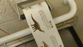 Lucu sih, kayaknya tissue toilet gambar dinosaurus. Foto: via Bored Panda