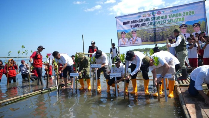 Pemprov Sulsel mendorong percepatan pemulihan ekosistem pesisir lewat penanaman mangrove.