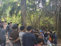 Terpopuler: Bule Wanita Curi Baju di Ubud-Jejak Kriminal Pencuri Ayam