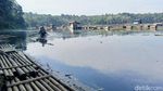 Ikan ikan di Ranu Klakah Lumajang Mati
