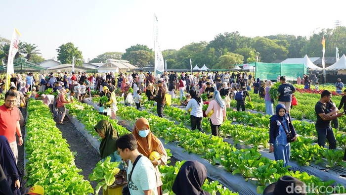 Ribuan warga antusias mengikuti  Petro Agrifood Expo (PAE) 2026