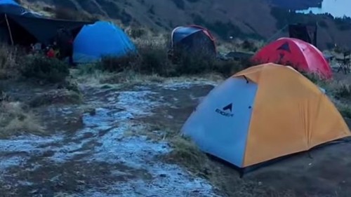 Rumput dan tenda pendaki Gunung Rinjani di area perkemahan Pelawangan Sembalun, Lombok Timur, NTB, diselumuti es, Senin (27/7/2026). (Dok. TNGR)
