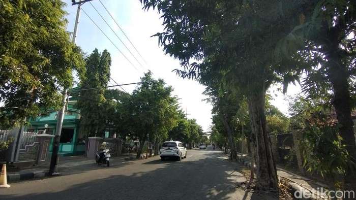 Suasana di Nganjuk saat musim kemarau, banyak pepohonan teduh tapi berpontesi tumbang diterjang angin kencang.