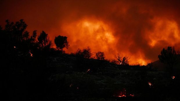 Asap mengepul saat api berkobar selama kebakaran hutan di dekat Vilavella dan La Vall d'Uixo, Castellon, Spanyol, 25 Juli 2026. (REUTERS/Eva Manez)