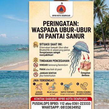 Imbauan BPBD Kota Denpasar bahaya ubur-ubur di Sanur.