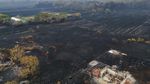 Kebakaran Hutan Hanguskan Ratusan Rumah di Prancis