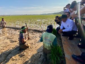 Rp 231 Miliar Tersalurkan untuk Pemulihan Pertanian Pascabencana di Aceh