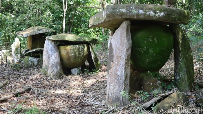 Di balik rimbunnya hutan hujan tropis Taman Nasional Kayan Mentarang (TNKM), Kalimantan Utara, tersimpan peninggalan bersejarah berupa situs kuburan batu kuno leluhur suku Dayak.