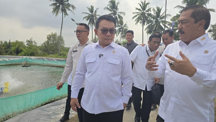 Menteri Imipas bersama KSP mengecek kolam sidat di Nusakambangan (Audrey/detikcom)