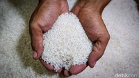 Produsen Buru-buru Tarik Stok, Bapanas Lanjut Usut Beras Fortifikasi Bermasalah