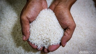 Produsen Buru-buru Tarik Stok, Bapanas Lanjut Usut Beras Fortifikasi Bermasalah
