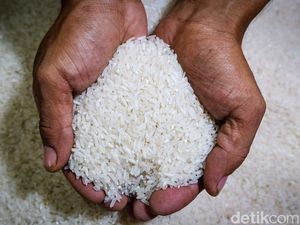 Stok Beras NTT 39.000 Ton Dipastikan Cukup buat Penuhi Kebutuhan Korban Gempa