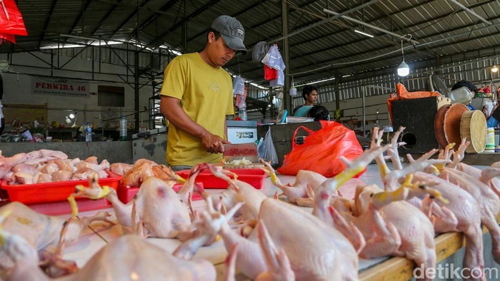 Pemerintah menyatakan ketersediaan pangan pokok nasional berada dalam kondisi aman dengan stok sejumlah komoditas utama, seperti beras, telur ayam, dan daging ayam, berada pada tingkat surplus. Pernyataan tersebut disampaikan Menteri Koordinator Bidang Pangan Zulkifli Hasan di tengah meningkatnya ketidakpastian pasokan pangan global akibat pembatasan ekspor oleh sejumlah negara.