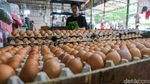 Pemerintah Pastikan Beras hingga Daging Ayam dalam Kondisi Surplus