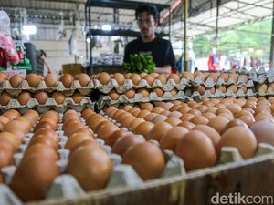 Mentan Ungkap Anomali Harga Telur: Stok Melimpah, tapi Harga Naik