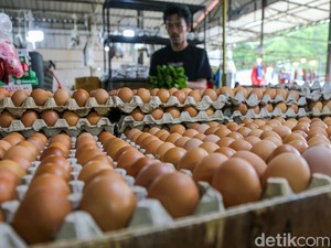 Mentan Ungkap Anomali Harga Telur: Stok Melimpah, tapi Harga Naik