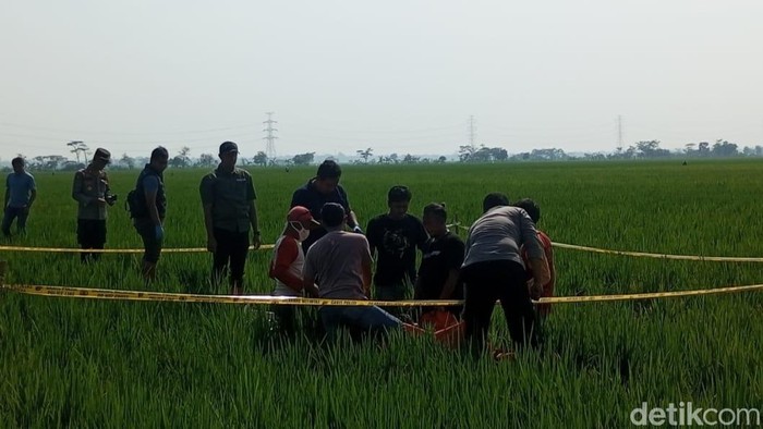 Perangkat Desa Kalipancur, Pekalongan, Rosyanto (57) ditemukan tewas di sawah belakang SDN 1 Kalipancur, Selasa (28/7/2026).