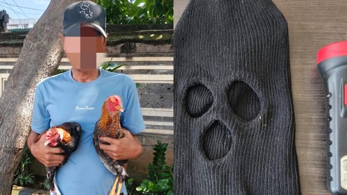 Polisi menangkap seorang pria berinisial WP (47), warga Desa Sinabun, Kecamatan Sawan, Buleleng, diduga maling ayam di Desa Sinabun, Selasa (28/7/2026). Foto : Polres Buleleng