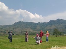 Viral Sawah Bergaya Sabana di Prambanan, Petani Protes Lahan Jadi Tempat Bikin Konten