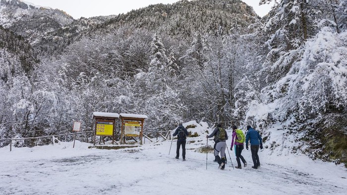 OLYMPUS, GREECE -JANUARY 14: View of the snowy Olympus mountain on December 14, 2024 in Olympus National Park, Greece.  (Photo by Athanasios Gioumpasis/Getty Images).