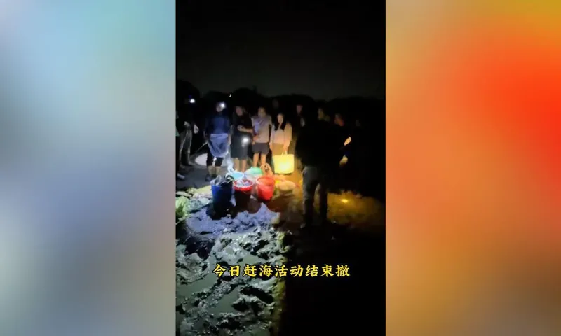 Tren Berburu Kerang dan Kepiting di Pantai yang Tuai Kritik