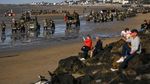 UNESCO Tetapkan Pantai Bersejarah D-Day sebagai Warisan Dunia
