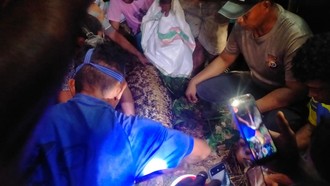 Ngeri Pria Tewas Ditelan Ular Piton 7 Meter di Dalam Hutan Malut