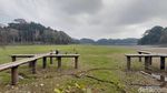 Potret Padang Rumput Hijau di Danau Situ Gede yang Menyusut
