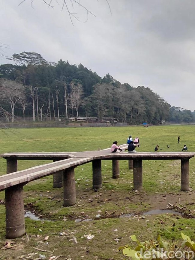 Potret Padang Rumput Hijau di Danau Situ Gede yang Menyusut