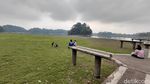 Potret Padang Rumput Hijau di Danau Situ Gede yang Menyusut