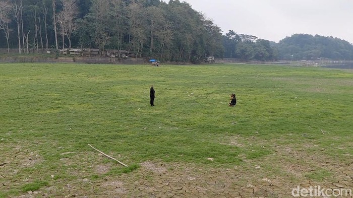 Danau Situ Gede mengering saat kemarau melanda wilayah Tasikmalaya pada Juli 2026