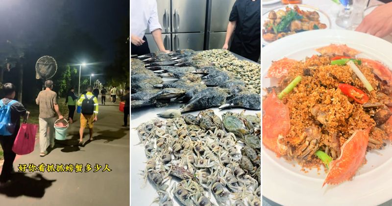 Diduga Masak Seafood Hasil Mungut di Pantai, Resto Ini Dapat Rating Jelek!