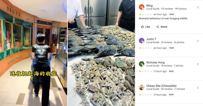 Diduga Masak Seafood Hasil Mungut di Pantai, Resto Ini Dapat Rating Jelek!