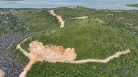 Kemenhut Jerat PT GTP Tersangka Perambahan Hutan di Kepri, Terancam 10 Tahun Bui
