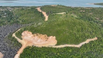 Kemenhut Jerat PT GTP Tersangka Perambahan Hutan di Kepri, Terancam 10 Tahun Bui